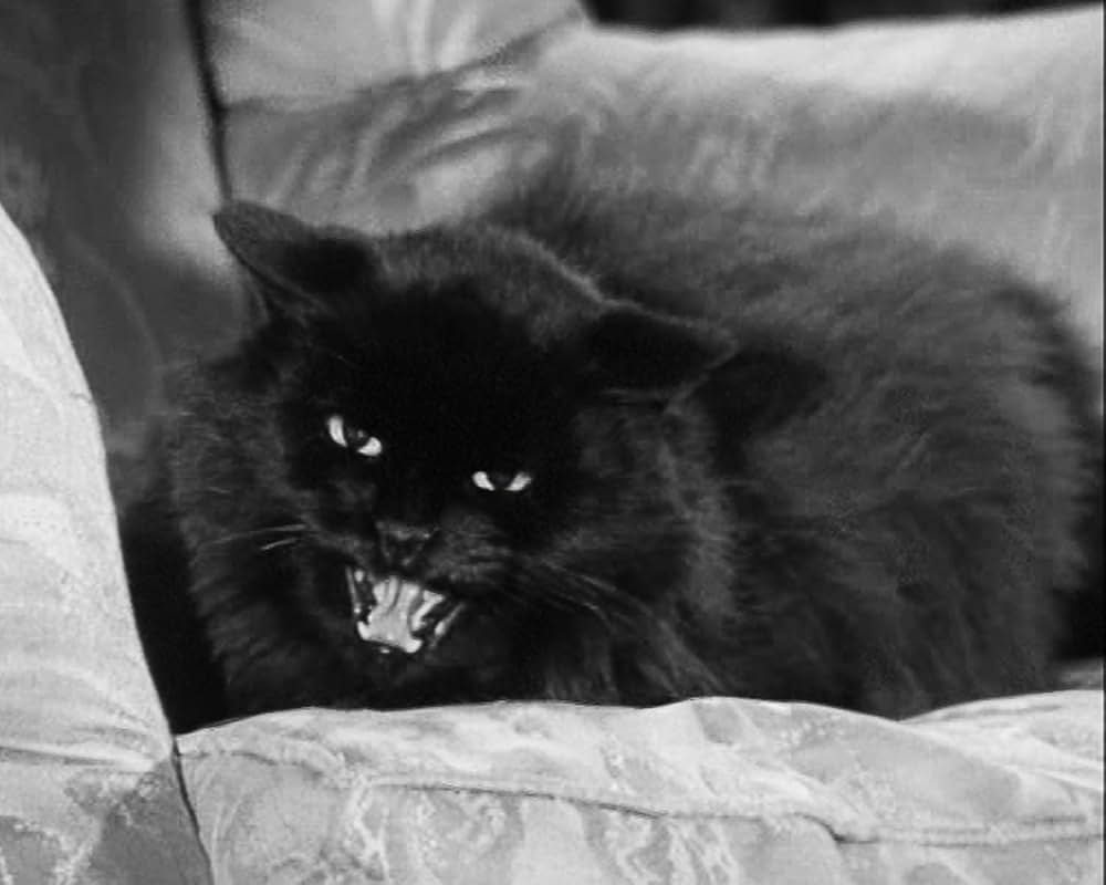 Night of the Eagle（原題）の画像