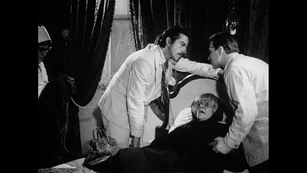 Seeds（原題）の画像