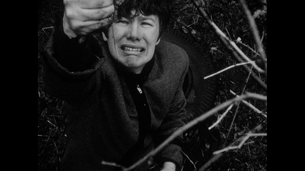 Seeds（原題）の画像