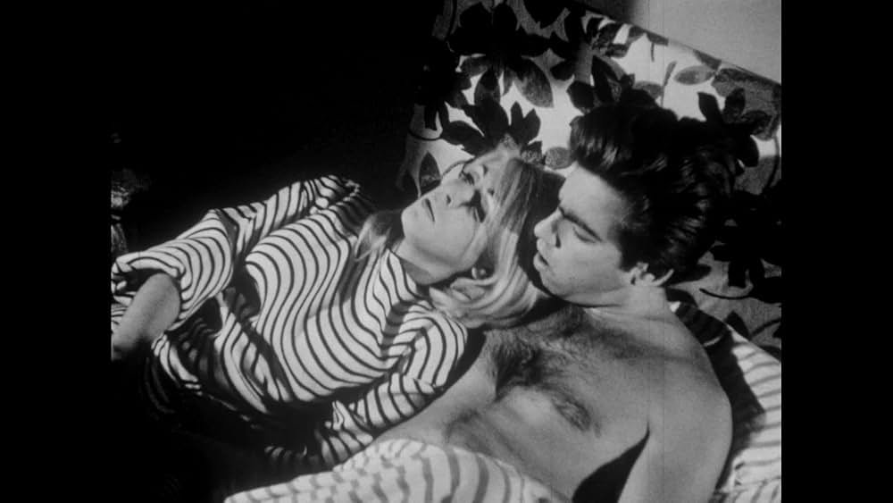 Seeds（原題）の画像