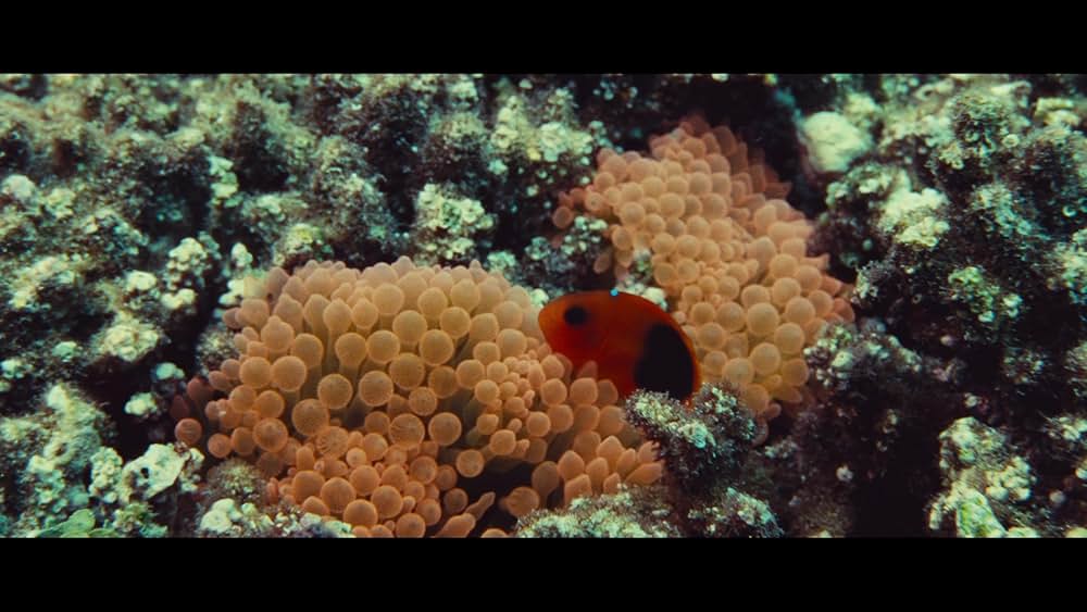 インポッシブルの画像