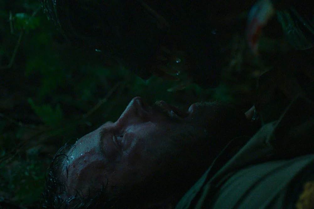 オラン・イカンの画像