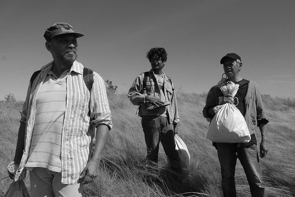 チンパンジー属の画像