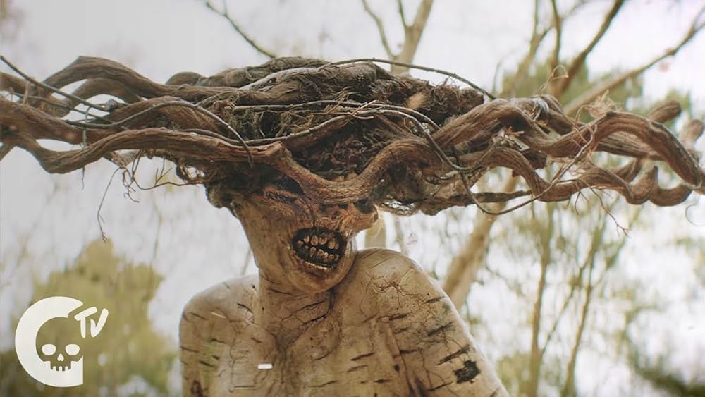 The Birch（原題）の画像