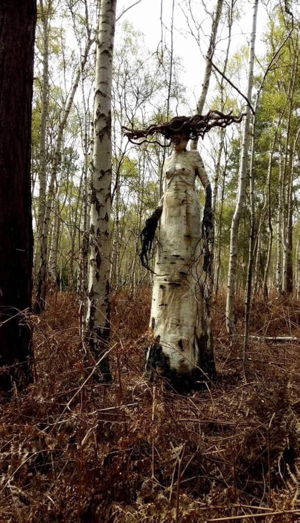「The Birch（原題）」の画像