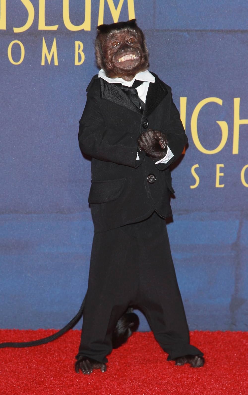 ナイト ミュージアム エジプト王の秘密の画像