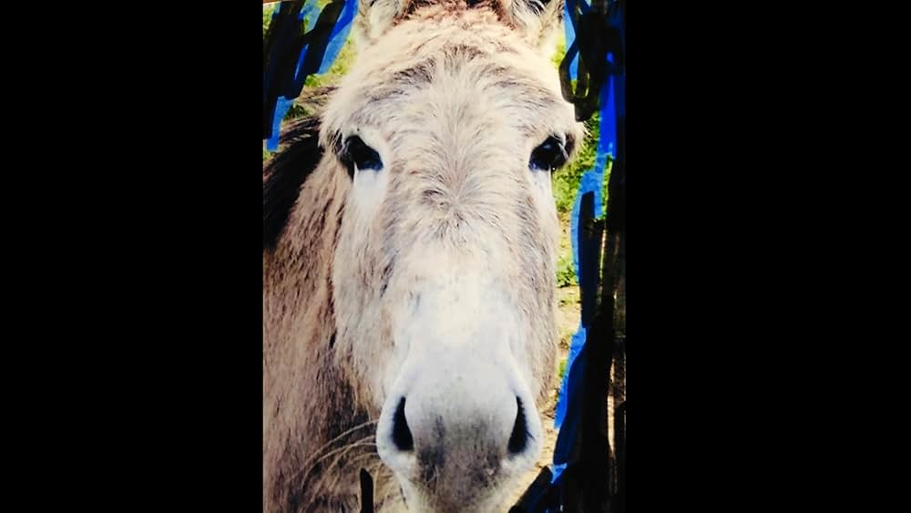 シナリオの画像