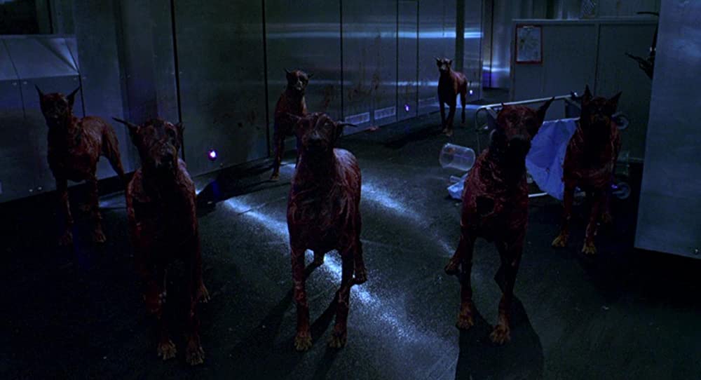 バイオハザードの画像