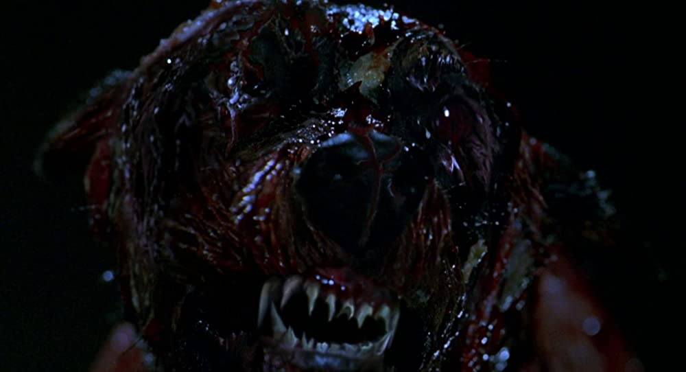 バイオハザードの画像