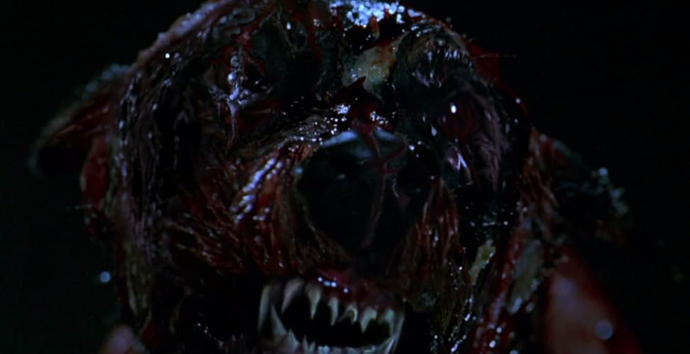 バイオハザードの画像