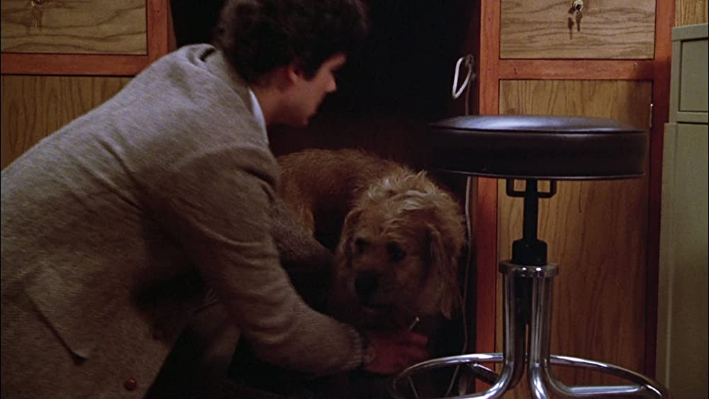 グレムリンの画像