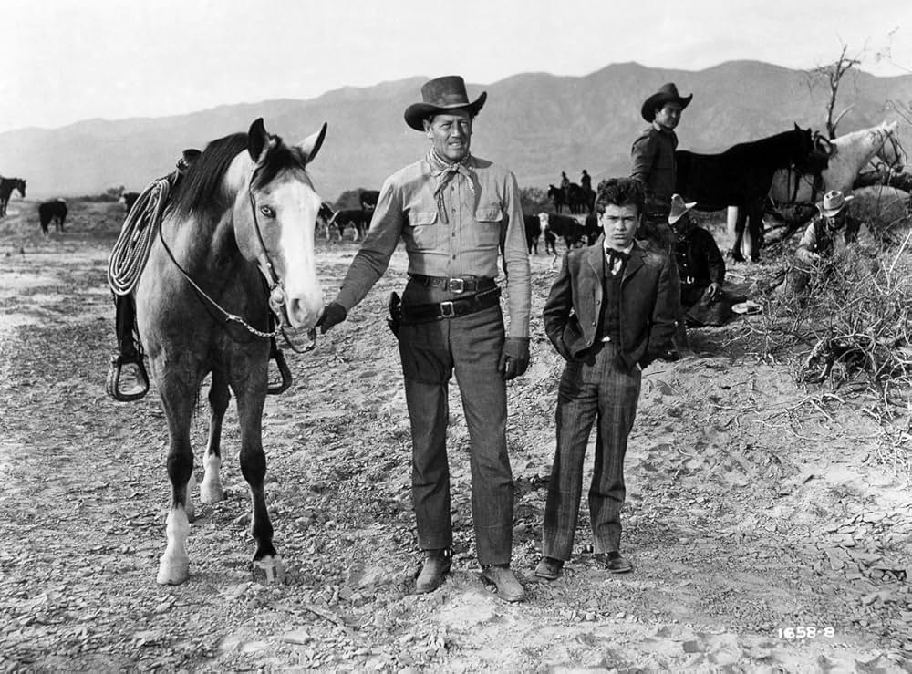 キャトル・ドライブの写真