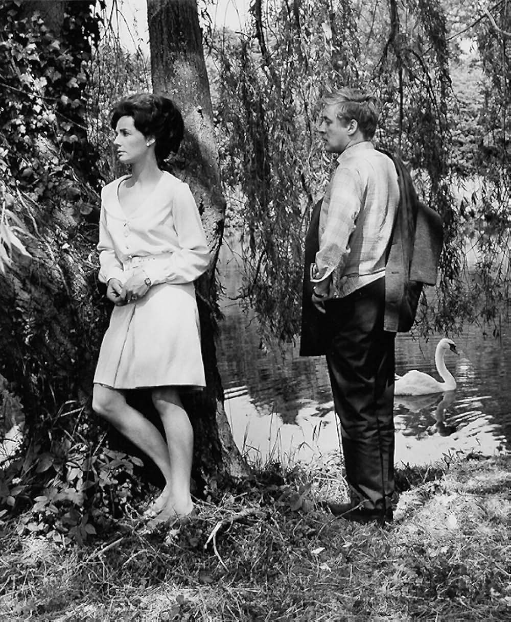 しのび逢いの画像