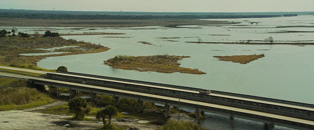 ペーパー・タウンの画像