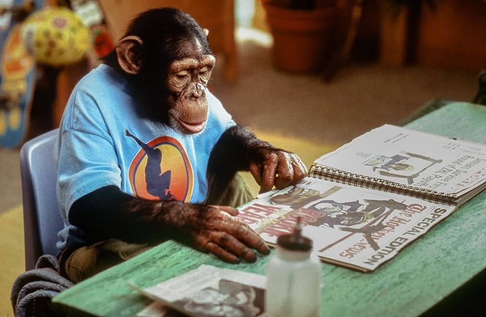 天才チンパンジー ジャック／スノーボードは最高！の画像