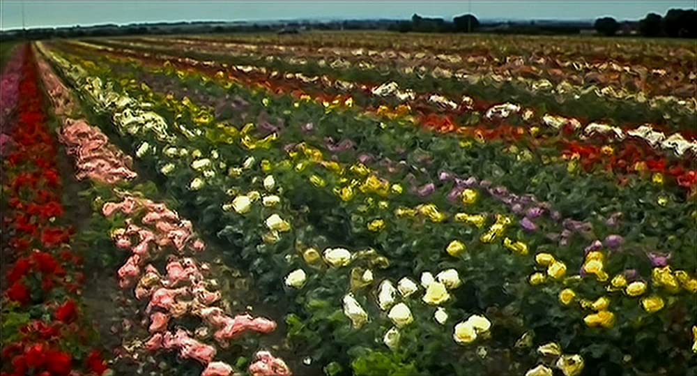 28日後...の画像