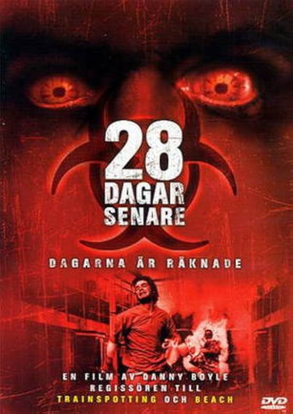 28日後...の画像