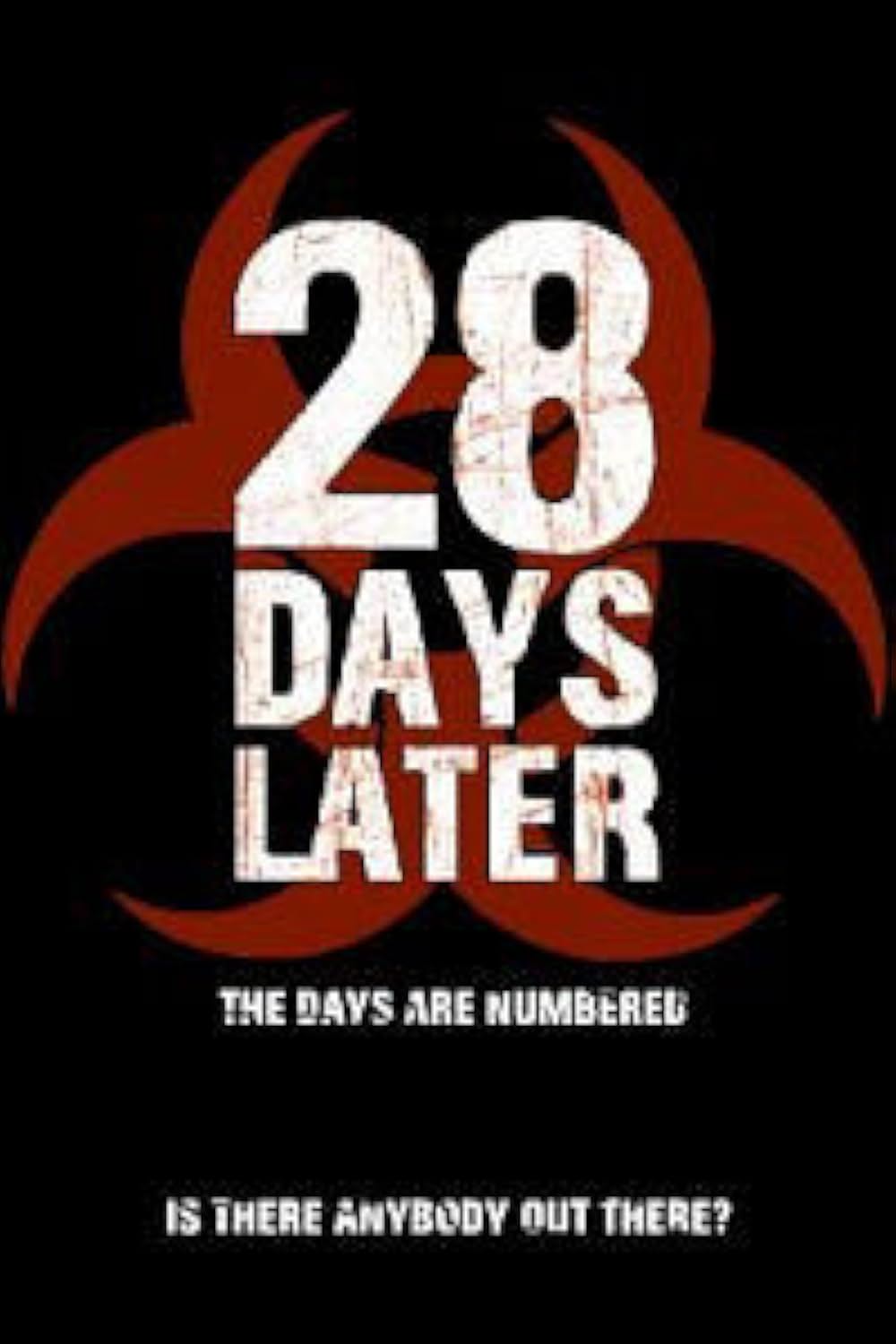 28日後...の画像