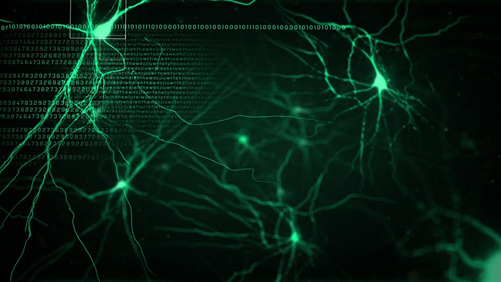 トランセンデンスの画像