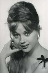 Judy Gringerの画像