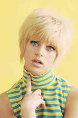 ゴールディ・ホーン / Goldie Hawnの画像