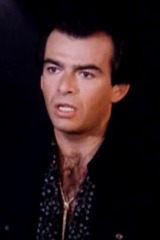 Les Steinmetzの画像
