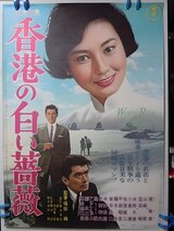香港の白い薔薇のポスター