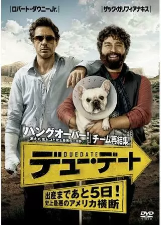 デューデート 〜出産まであと5日!史上最悪のアメリカ横断〜のポスター