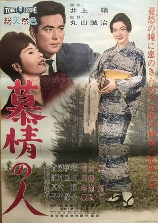 慕情の人のポスター