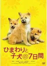 ひまわりと子犬の7日間のポスター