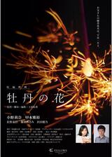 牡丹の花のポスター