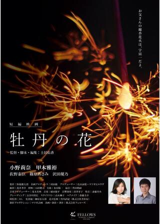 牡丹の花のポスター