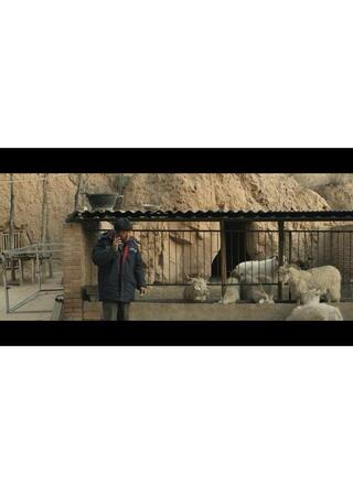 三匹の去勢された山羊のポスター