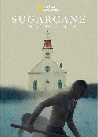 SUGARCANE／シュガーケインのポスター