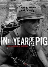 In the Year of the Pigのポスター