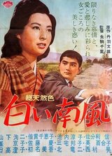 白い南風のポスター