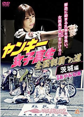 ヤンキー女子高生 全国制覇への道 茨城編のポスター