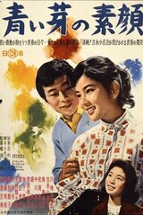 青い芽の素顔のポスター