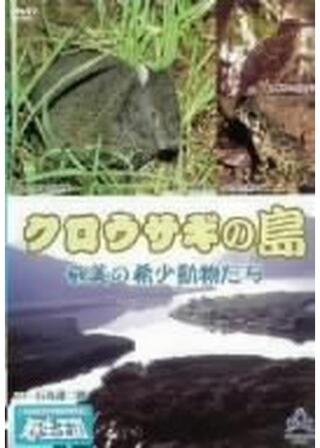 クロウサギの島 奄美の希少動物たちのポスター