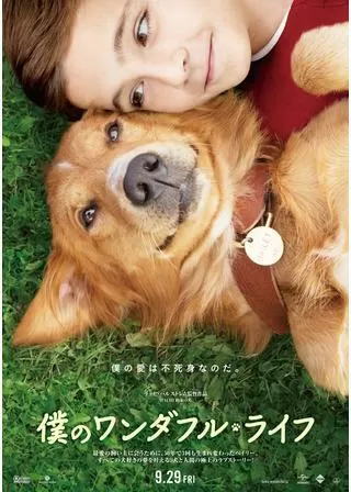 僕のワンダフル・ライフのポスター