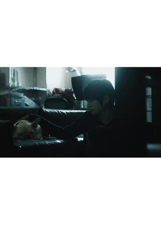 吠えても届かないのポスター