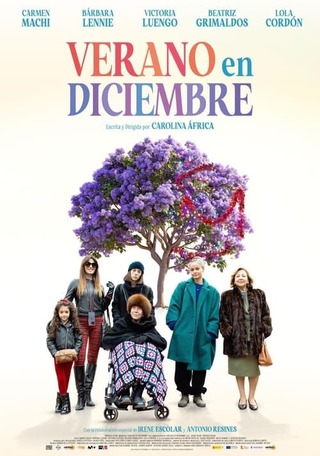 Verano en diciembre(原題)のポスター