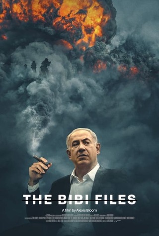 The Bibi Files(原題)のポスター