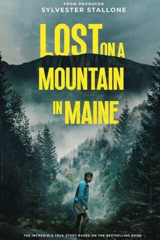 Lost on a Mountain in Maine(原題)のポスター