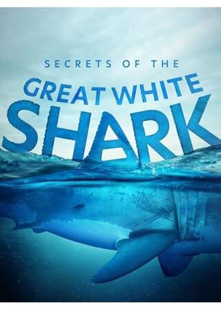 ホオジロザメの秘密のポスター