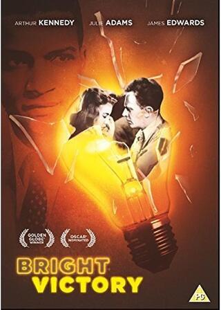 Bright Victory(原題)のポスター