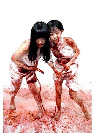 2 Girls 1 Gut（原題）のポスター