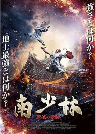 南少林 拳法の覚醒のポスター