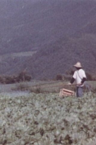 農薬禍のポスター