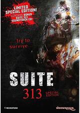 Suite 313（原題）のポスター